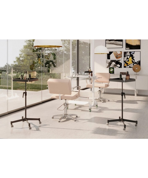 Ассистент колориста "ROCKET"